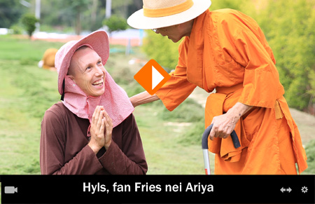 Hyls, fan Fries nei Ariya