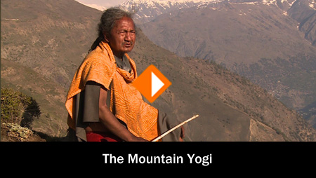 The Mountain Yogi
