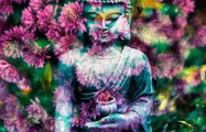 Thumbnail voor Een groene Boeddha: De Bloemenpreek