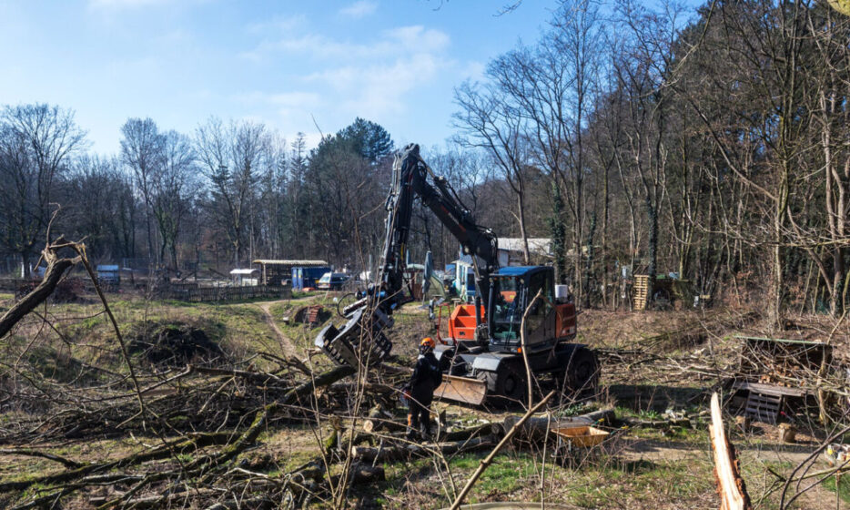 Boeddhistisch omgaan met klimaatpijn: hoe werkt dat?