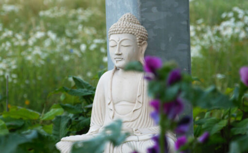 Thumbnail voor “Boeddha’s spirituele zoektocht speelt zich af in de wildernis”