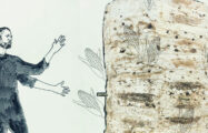 Thumbnail voor Kunstenaar Arne Hendriks: “Als je een stap terug doet, creëer je ruimte.”