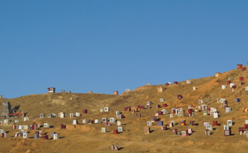 Thumbnail voor Dark Red Forest – majestueuze documentaire over Tibetaanse nonnen