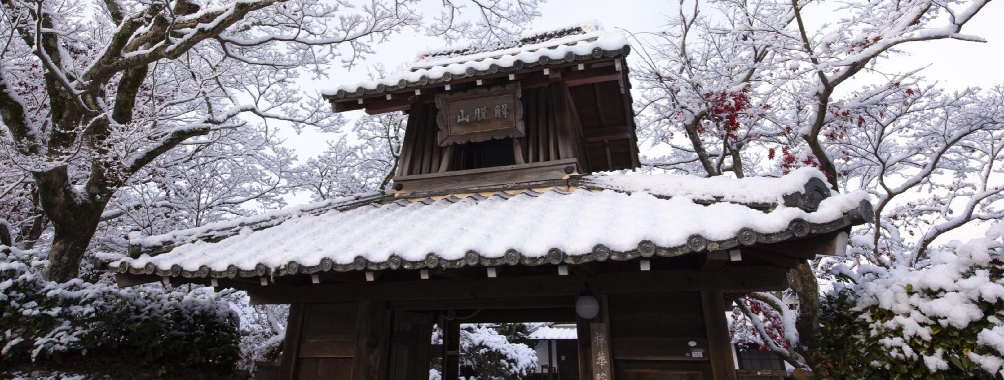 beste-boeddhistische-media-2022-Patrick Vierthaler_Temple Gate, Snow and Maple Foliage