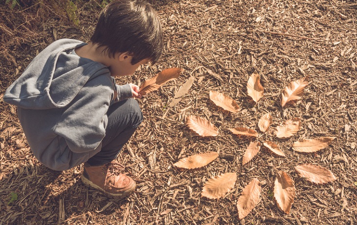 Child creating land art with autumn leaves in the forest. vormingsonderwijs