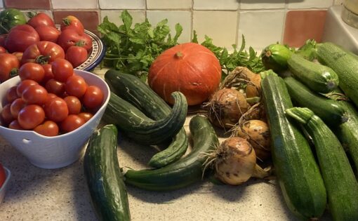 Thumbnail voor Radicale dankbaarheid