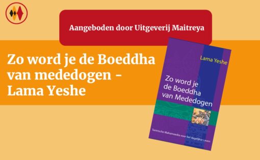 Thumbnail voor Zo word je de Boeddha van mededogen