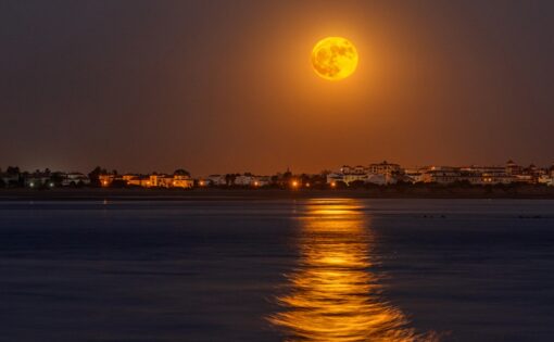 Thumbnail voor 8 vormen van illusie