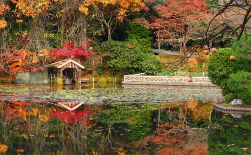 Thumbnail voor De urgente boodschap van Ma: tussenruimte is onschatbaar