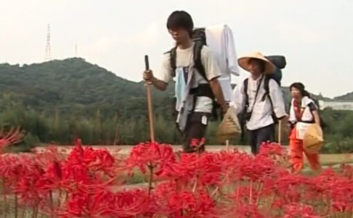 Thumbnail voor Documentaire: Het Tempelpad